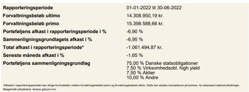 Opsætning med værdipapirbeholdningen pr. 30.06.2022